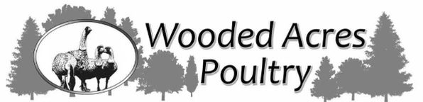 Wooded Acres Poultry